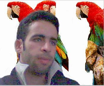 hamada m3a albabarae